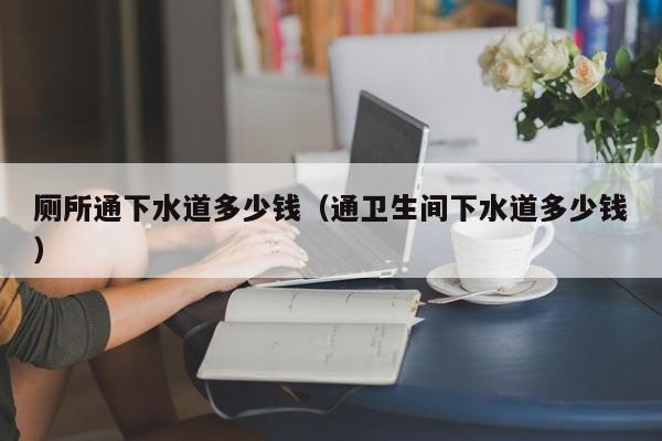 北京廁所通下水道多少錢（通衛(wèi)生間下水道多少錢）