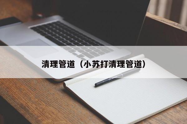 上海清理管道（小蘇打清理管道）