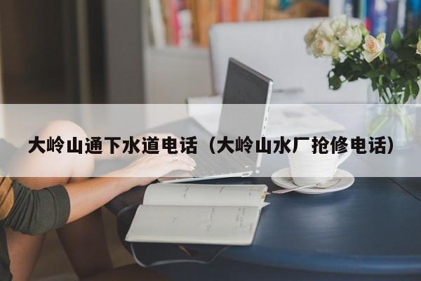 北京大嶺山通下水道電話（大嶺山水廠搶修電話）