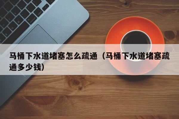 北京馬桶下水道堵塞怎么疏通（馬桶下水道堵塞疏通多少錢）